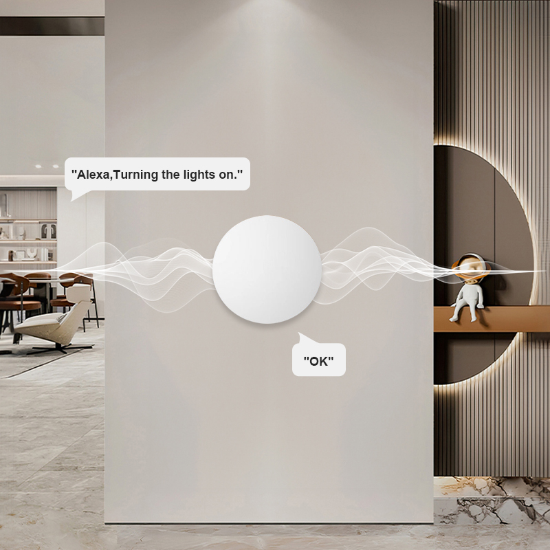 ZigBee Smart Wireless Button S - Home Office Google avis et prix