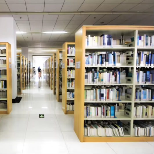 Factory Direct Double-Sided Bo - Home Office And Library avis et prix