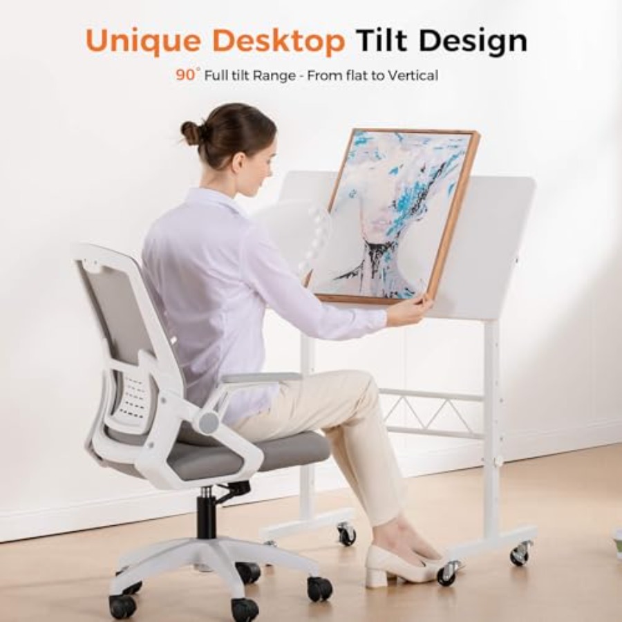 Standing Desk Adjustable Heigh - Home Office Desk avis et prix